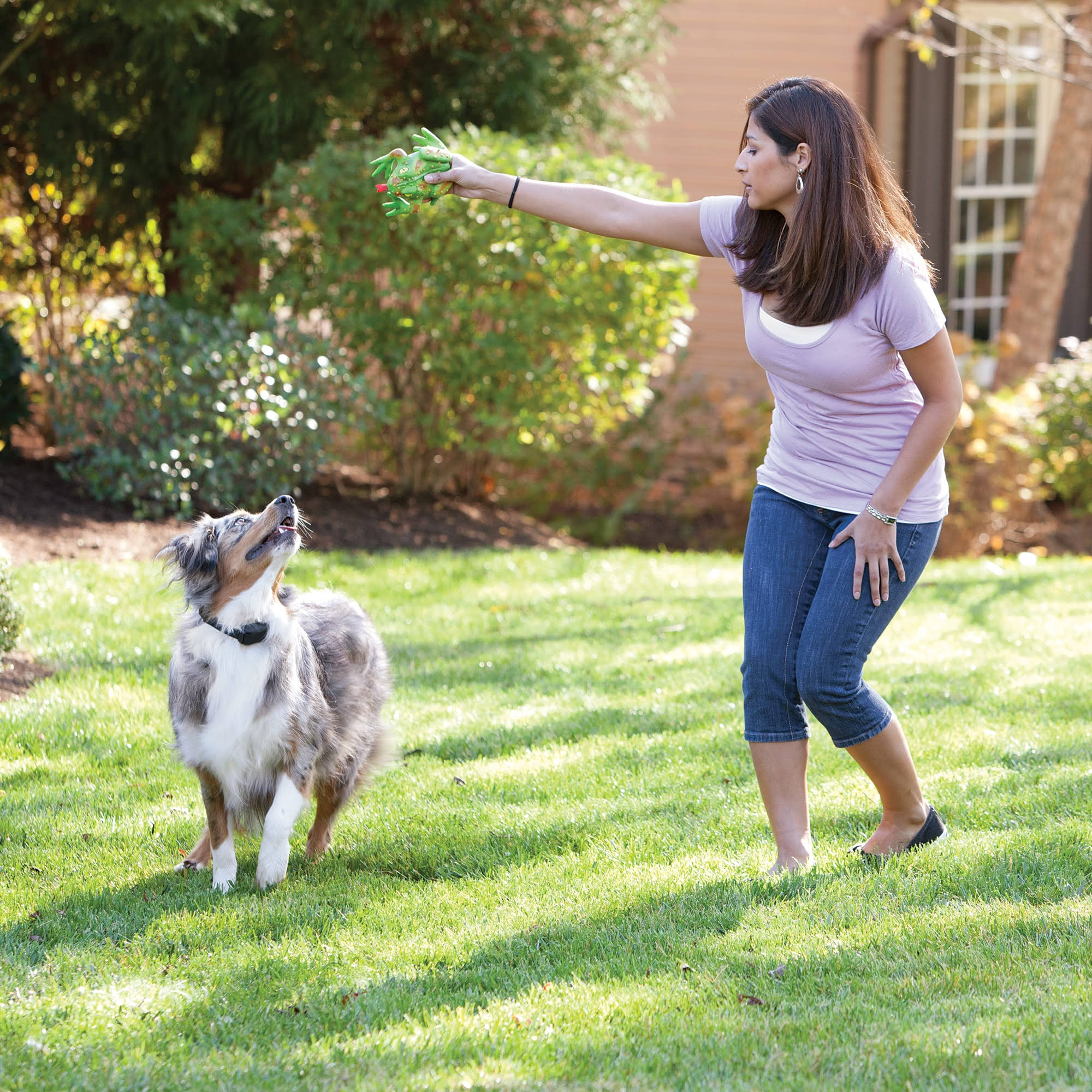 PetSafe YardMax Rechargeable In-Ground Fence Receiver Collar