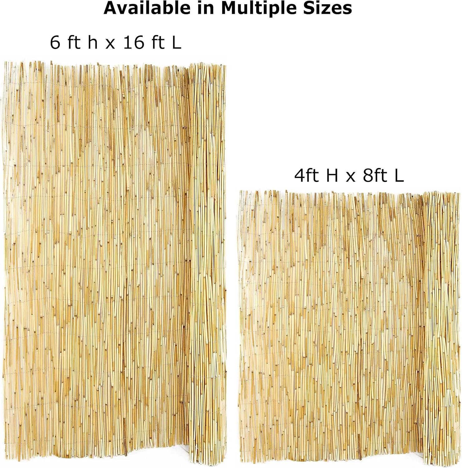 Forever Bamboo Reed Fencing, 6ft H x 16ft L