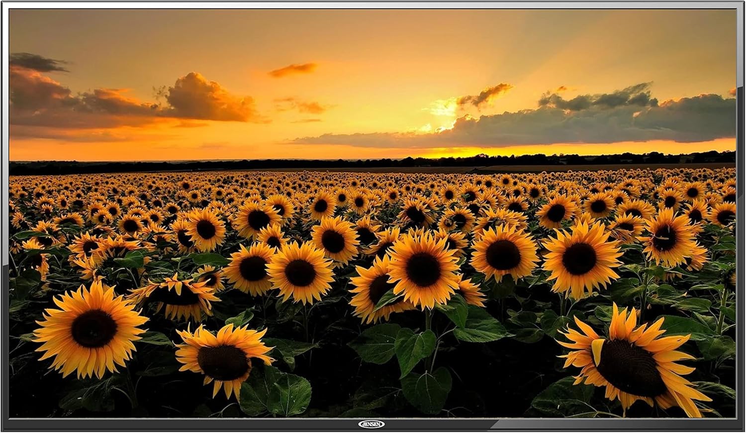 Jensen JE5023 LED TFT 50" TV, AC Power, 1920 x 1080 Resolution, Integrated HDTV (ATSC) Tuner, 16:9 Aspect Ratio, TV Stand Not Included