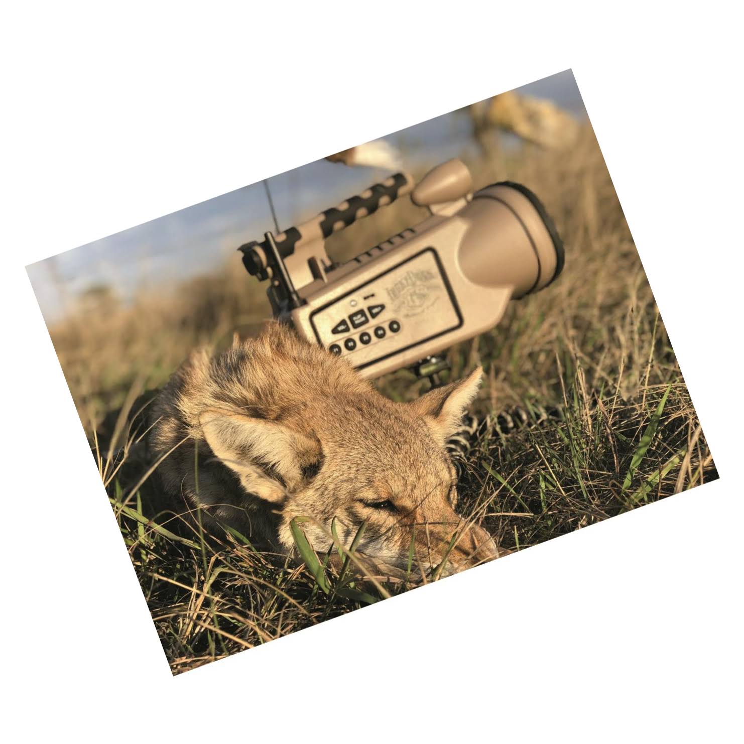 Lucky Duck Revolt E-Caller Predator Call