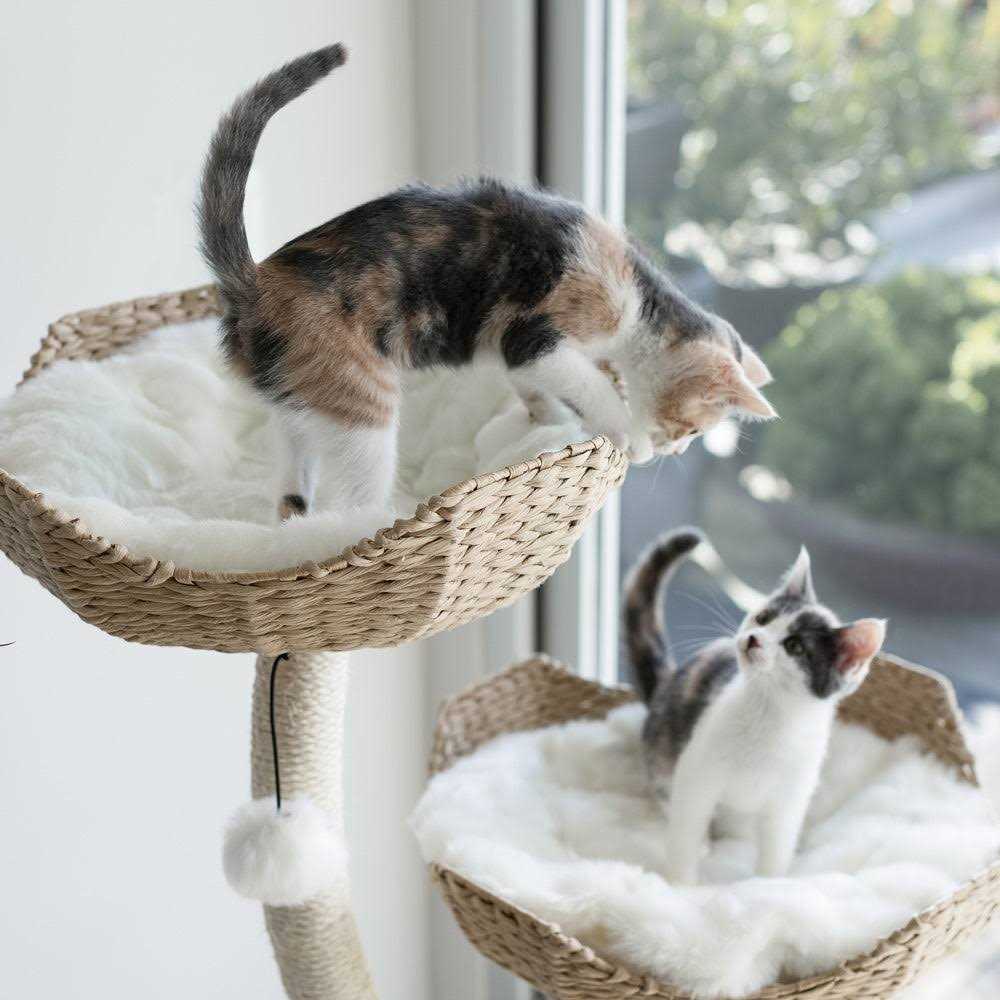 Maupets Mau Ivy 3 Modern Cat Tree - Pet Supplies online store