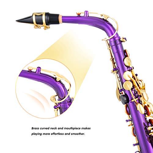 EASTROCK Black/Golden Alto Saxophone E Flat Sax Full Kit for Students Beginner with Carrying Case,Mouthpiece,Mouthpiece Cushion Pads,Cleaning Cloth&Cleaning Rod,White Gloves,Neck Strap