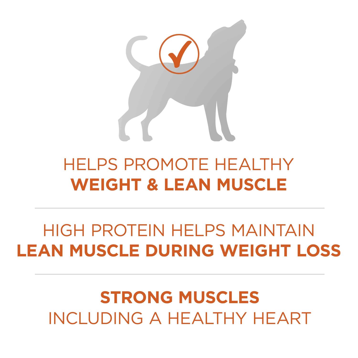 Purina ONE Plus Healthy Weight High Protein Formula Dry Dog Food - Pet Supplies online store