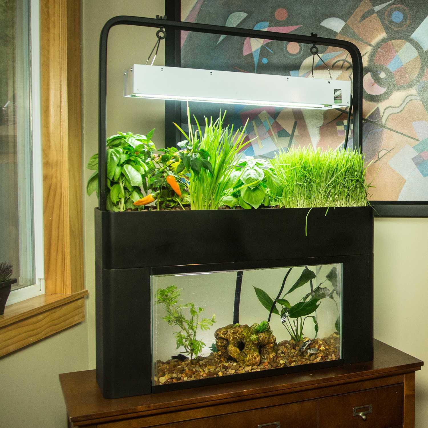AquaSprouts Garden kit - Pet Supplies online store