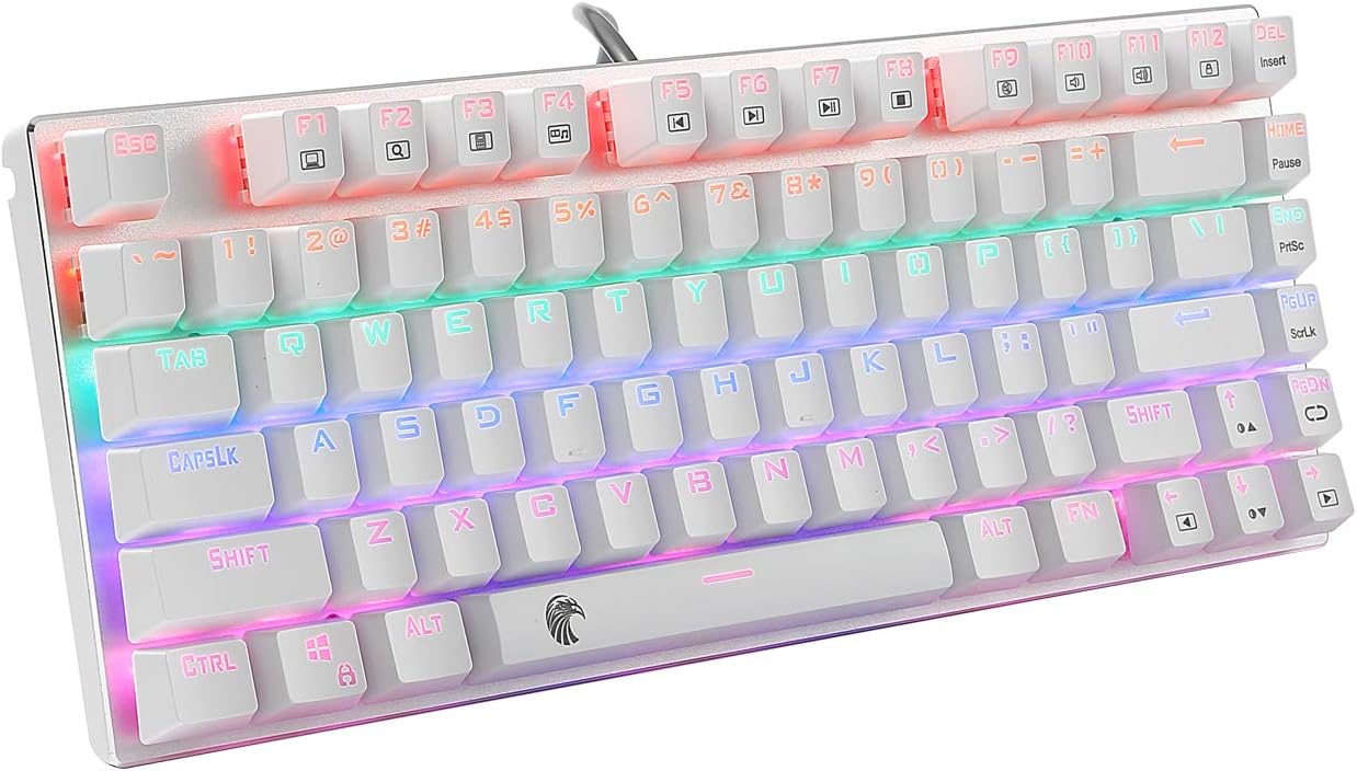HUO JI 60% Mechanical Gaming Keyboard, E-Yooso Z-88 with Blue Switches, Rainbow LED Backlit, Compact 81 Keys Hot Swappable, Black Pack of 2