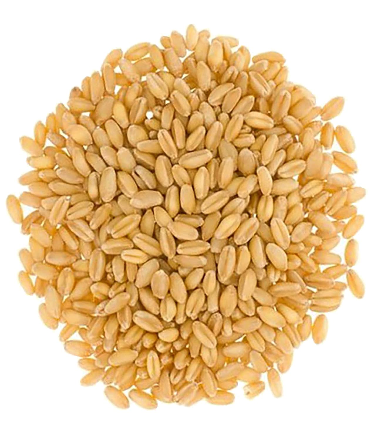 Hard White Wheat Wheat Berries | 100 LBS | Desiccant Free | Sproutable | Non-GMO Project Verified | Kosher