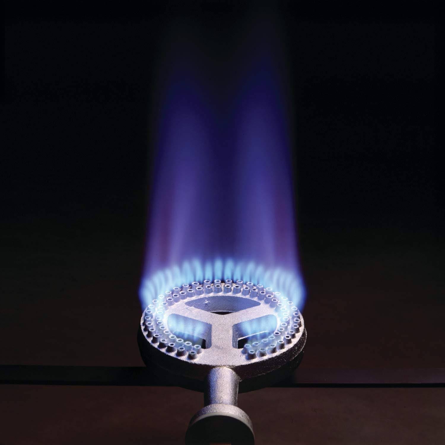 Bayou Classic Outdoor Patio Burner, Size: 16 x 16 x 13 Inches, Black