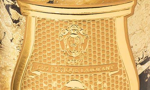 Cire Trudon Ernesto Scented Classic Candle 270g