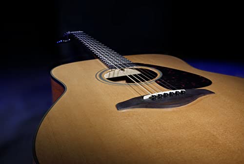 YAMAHA FS800 Small Body Solid Top Acoustic Guitar, Natural, Concert