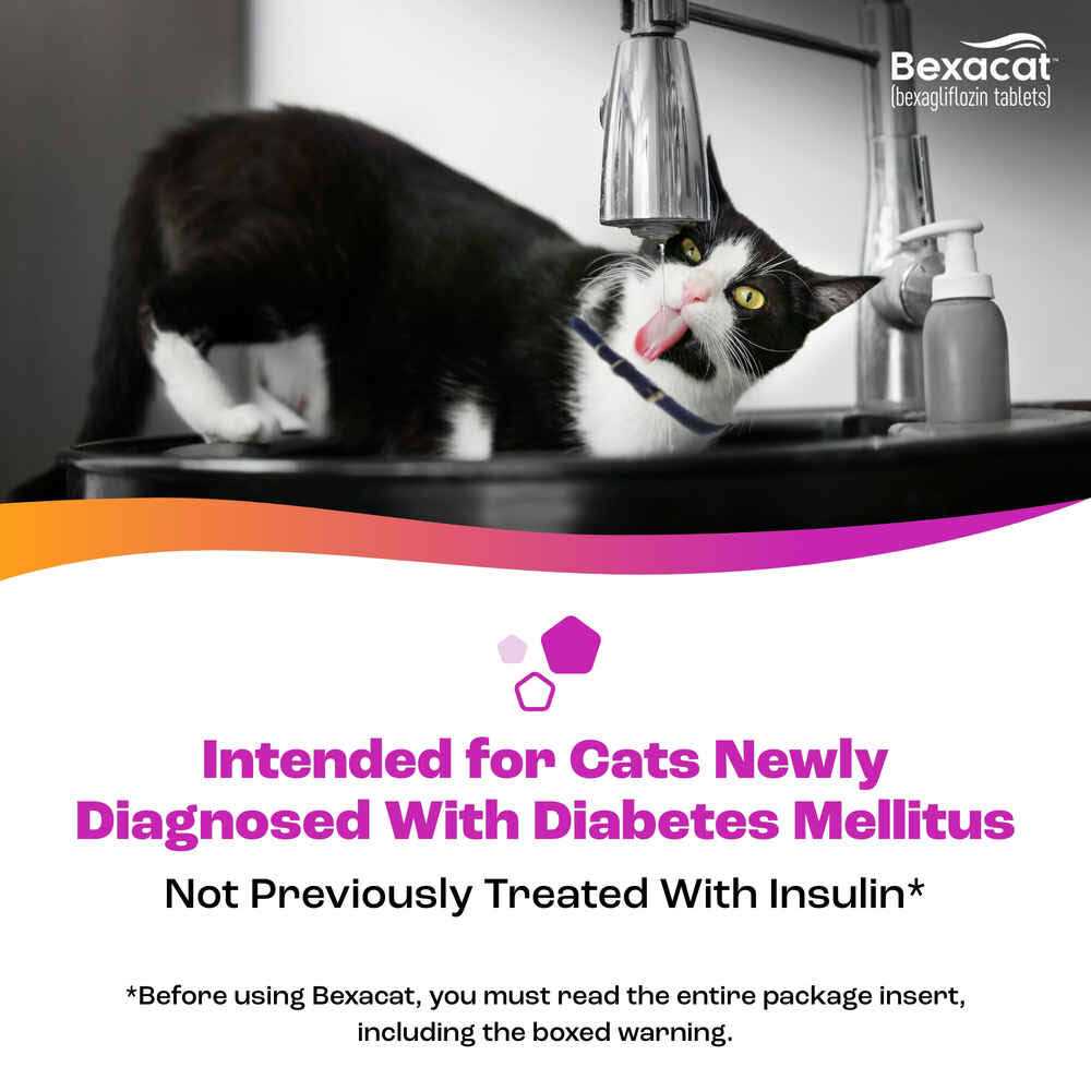 Bexacat for Cats 15 mg - Pet Supplies online store