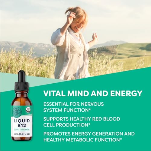 Vimergy Liquid B12 Refill – Fast-Absorbing Brain Support – Energy Support Supplement – USDA Certified Organic, Vegan, Non-GMO – 240 Servings (240 mL)