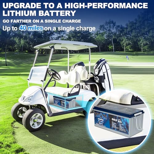 Weize 12V 100Ah TM LiFePO4 Lithium Battery, Built-in Smart BMS, Group 31 Deep Cycle Battery Perfect for Trolling Motor, RV, Solar, Marine, Overland/Van, and Off Grid Applications