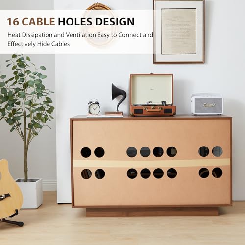 Stereo Cabinet, Media Storage Cabinet, 5-Tier Shelves Audio Video Record Player Stand Cabinet, Modern AV Cabinet with Cable Management for Entertainment Stereo Component(Black)
