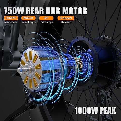 Adults Electric Bikes 1000W, 120Miles & 48V 30AH LG Cells Battery, 26''x4.0 Inch Fat Tire Ebike, 30MPH w/Dual Hydraulic Disc Brakes Full Suspension, Off Road Mountain Ebikes for Men Women