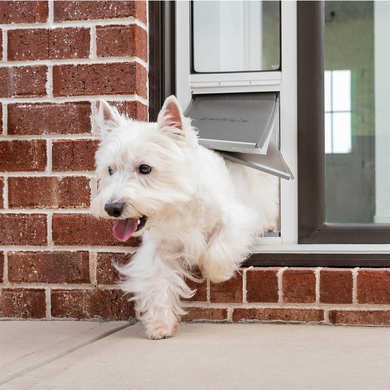 PetSafe Extreme Weather Sliding Glass Pet Door - Pet Supplies online store