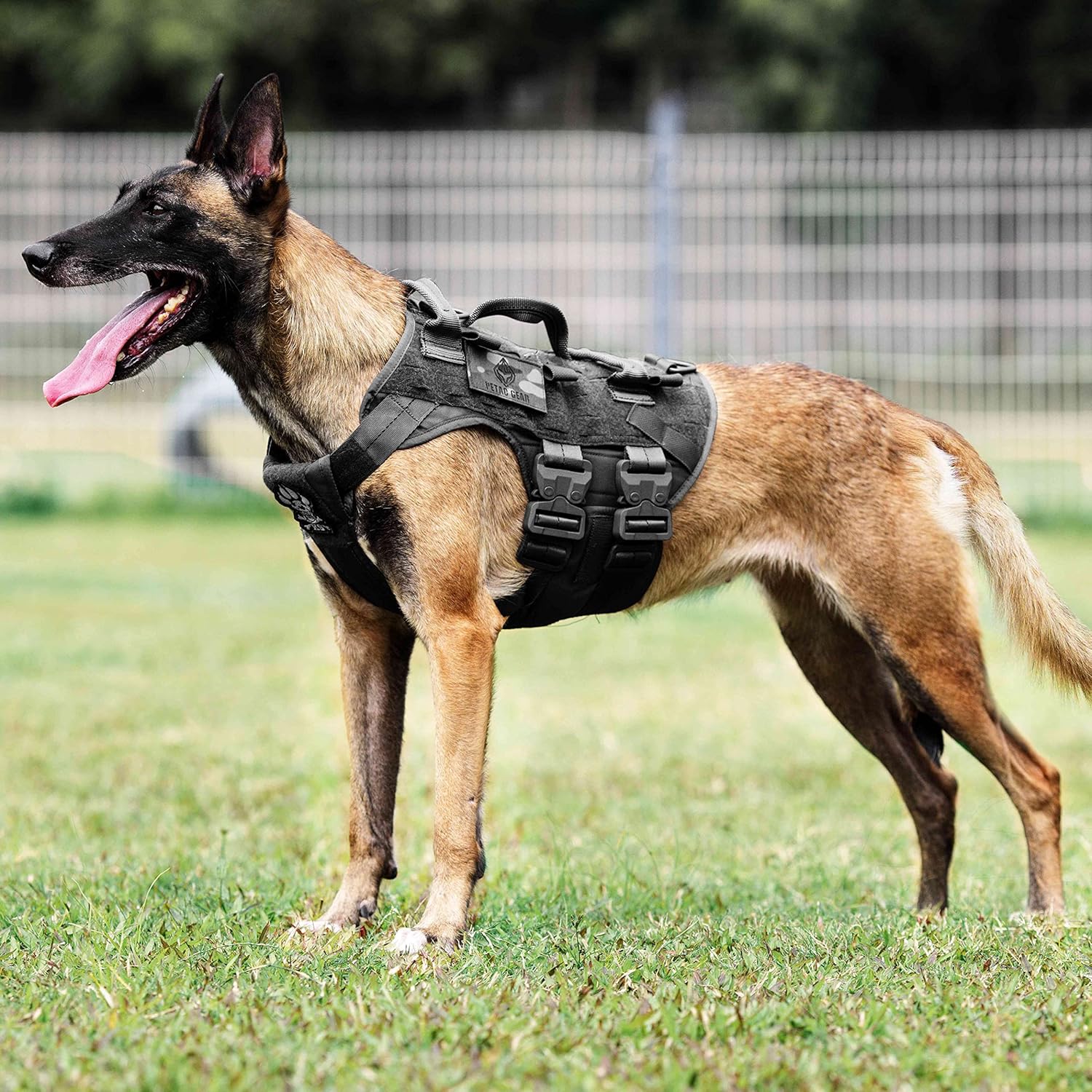 PETAC GEAR Tactical Dog Harness K9 Military Dog Training Harness Adjustable Police Service Dog Puppy Working MOLLE Vest for Small Little Dogs Mals GSD Lab&hellip;