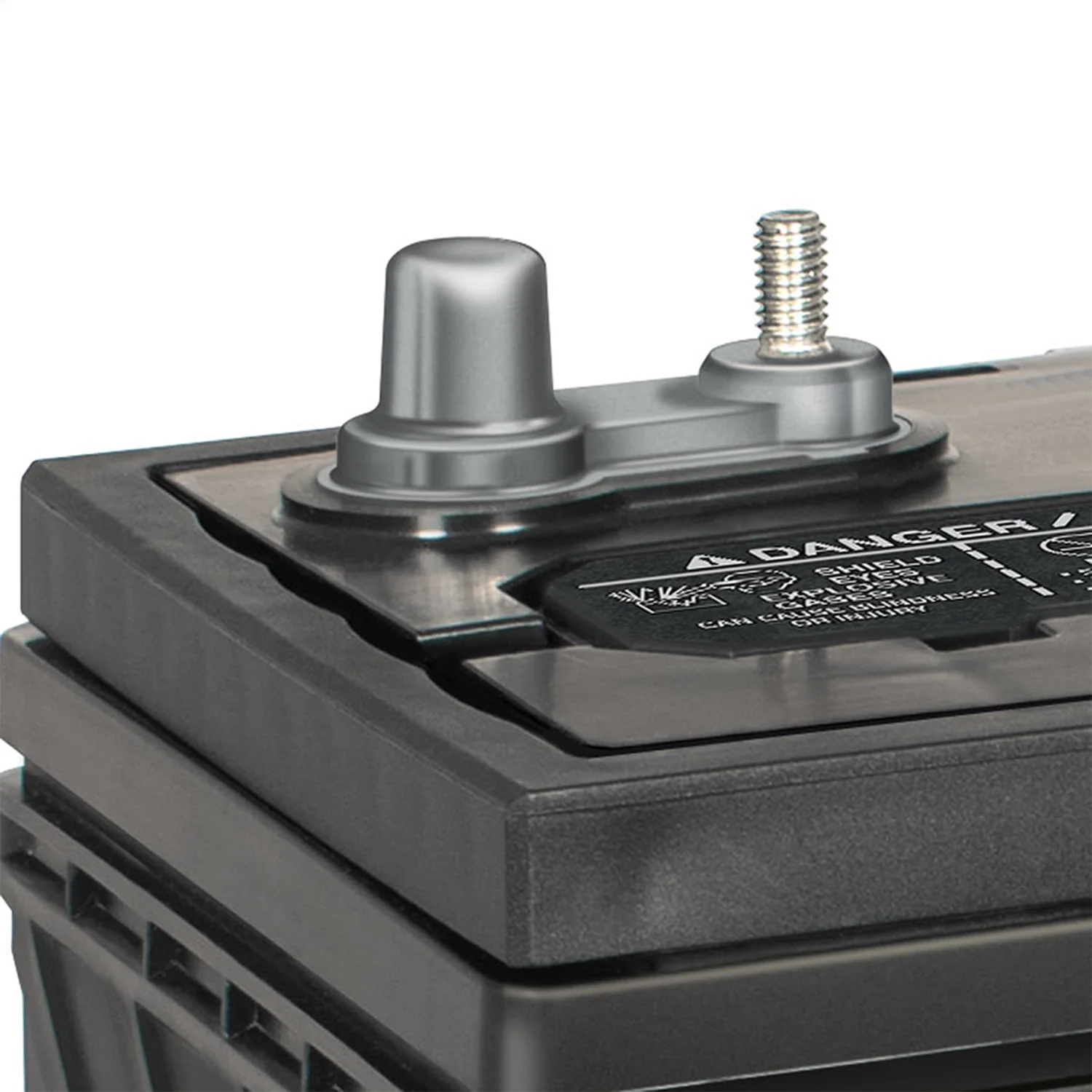 EverStart Maxx Marine Battery, Group Size 29DC 12 Volt, 845 CCA