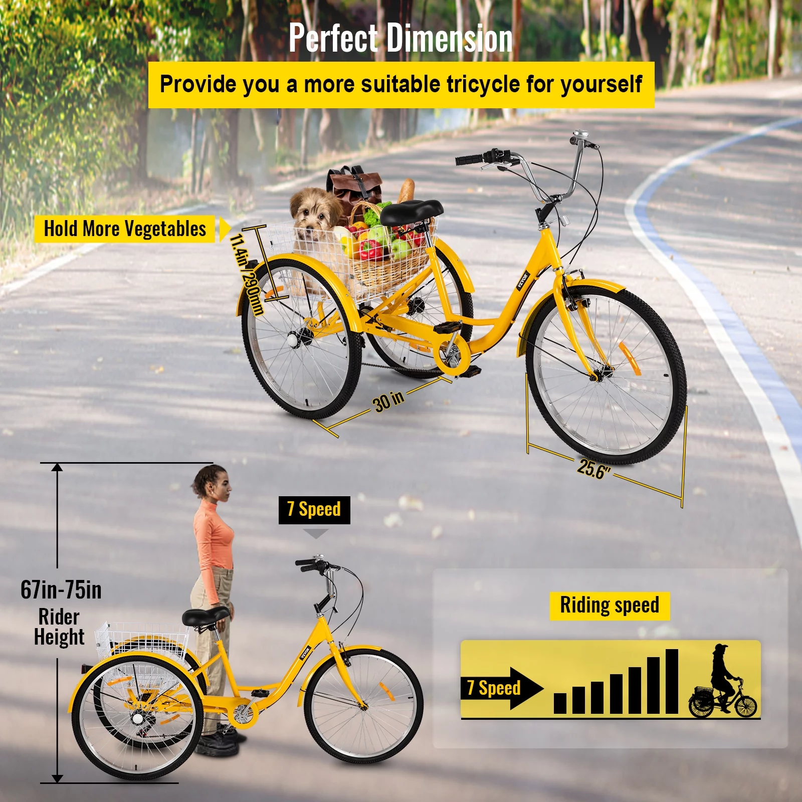 SKYSHALO Adult Tricycle 26in Adjustable Trike 7 Speed 3-Wheels Cruise Bike with Bell, Rear Brake System Cruiser Bicycles Large Size Basket for Shopping