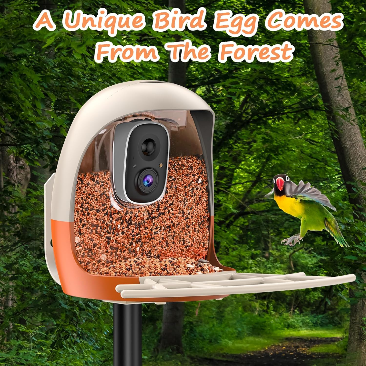 Bird Feeder with Camera, Smart Bird Feeder Camera with AI Identify, 4K Ultra HD Camera, Auto Capture Bird Videos & Instant Notification, Attract a Variety of Birds, Ideal Gift for Children’s Day