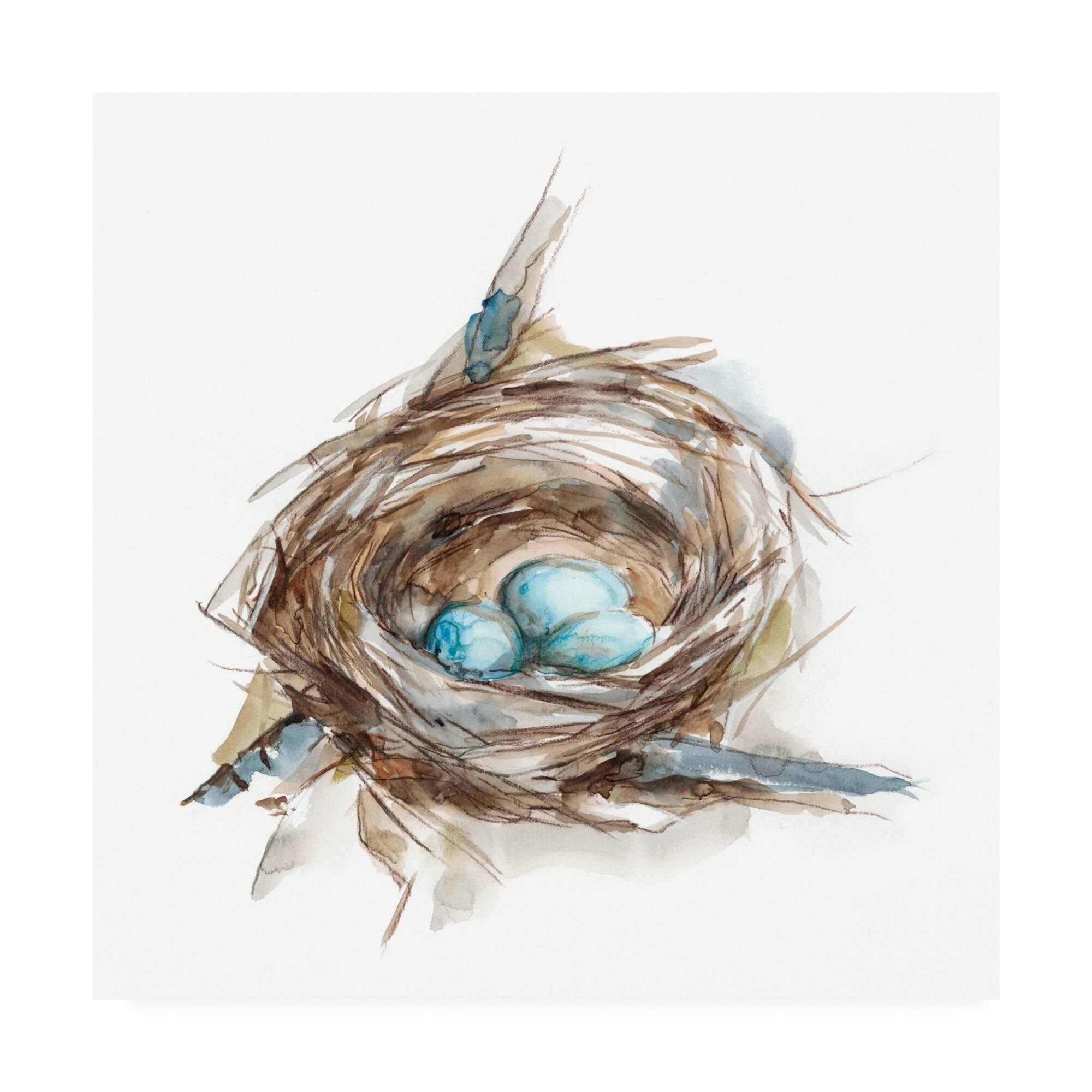 Porch u0026 den Ethan Harper &Bird Nest Study II& Canvas Art - 18x18