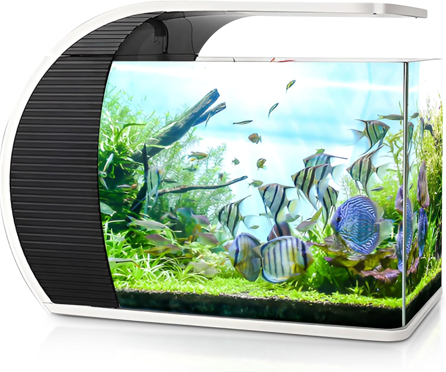 5 Gallon Fish Tanks - Arc-Shaped Glass Fish Tank w/LED Lights - Fish Tank Kit w/Adapter, Water Pump, Bag of Filter Media & More - Beautiful Aquarium Set for Office & Home - Easy Assembly Starter Kit