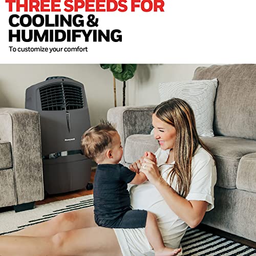 Honeywell 525 CFM Indoor Portable Evaporative Cooler with Fan & Humidifier