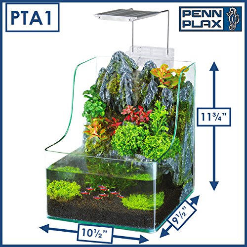 Penn Plax Presents The AquaTerrium Planting Tank - Grow Plants and Fish in one Environment