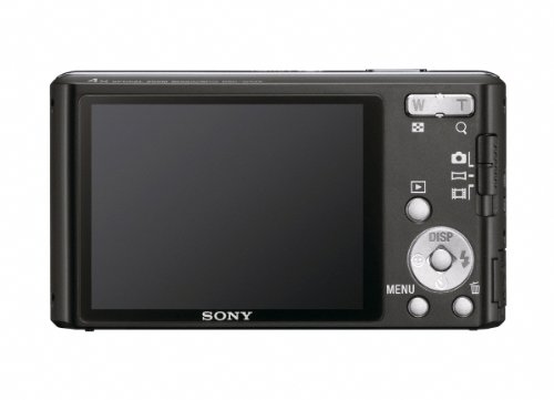 Sony Cyber-Shot DSC-W530 14.1 MP Digital Still Camera with Carl Zeiss Vario-Tessar 4x Wide-Angle Optical Zoom Lens and 2.7-inch LCD (Silver) (OLD MODEL)