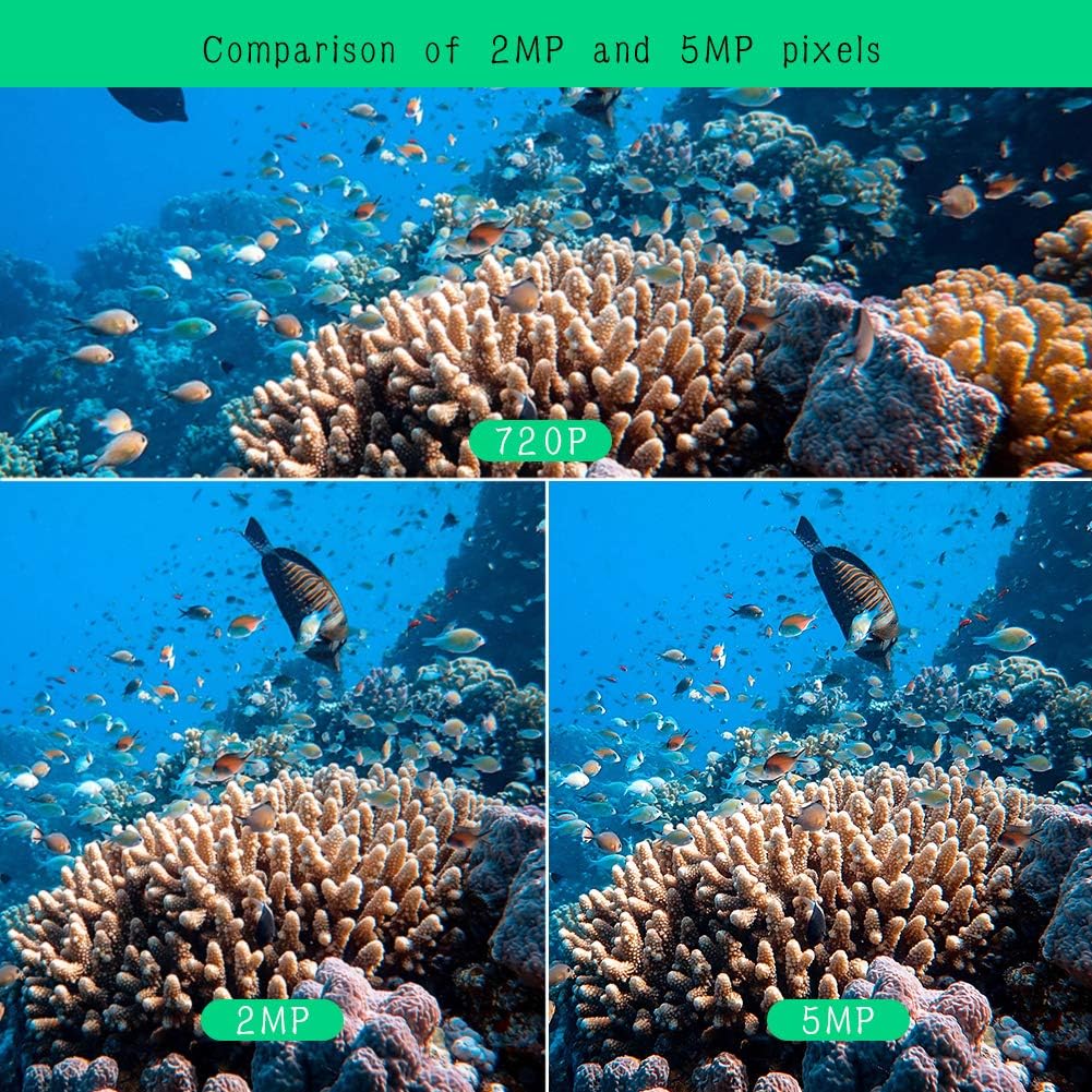 Underwater Camera, Aquarium Live Streaming Pond 5MP Camera (10M Cable)