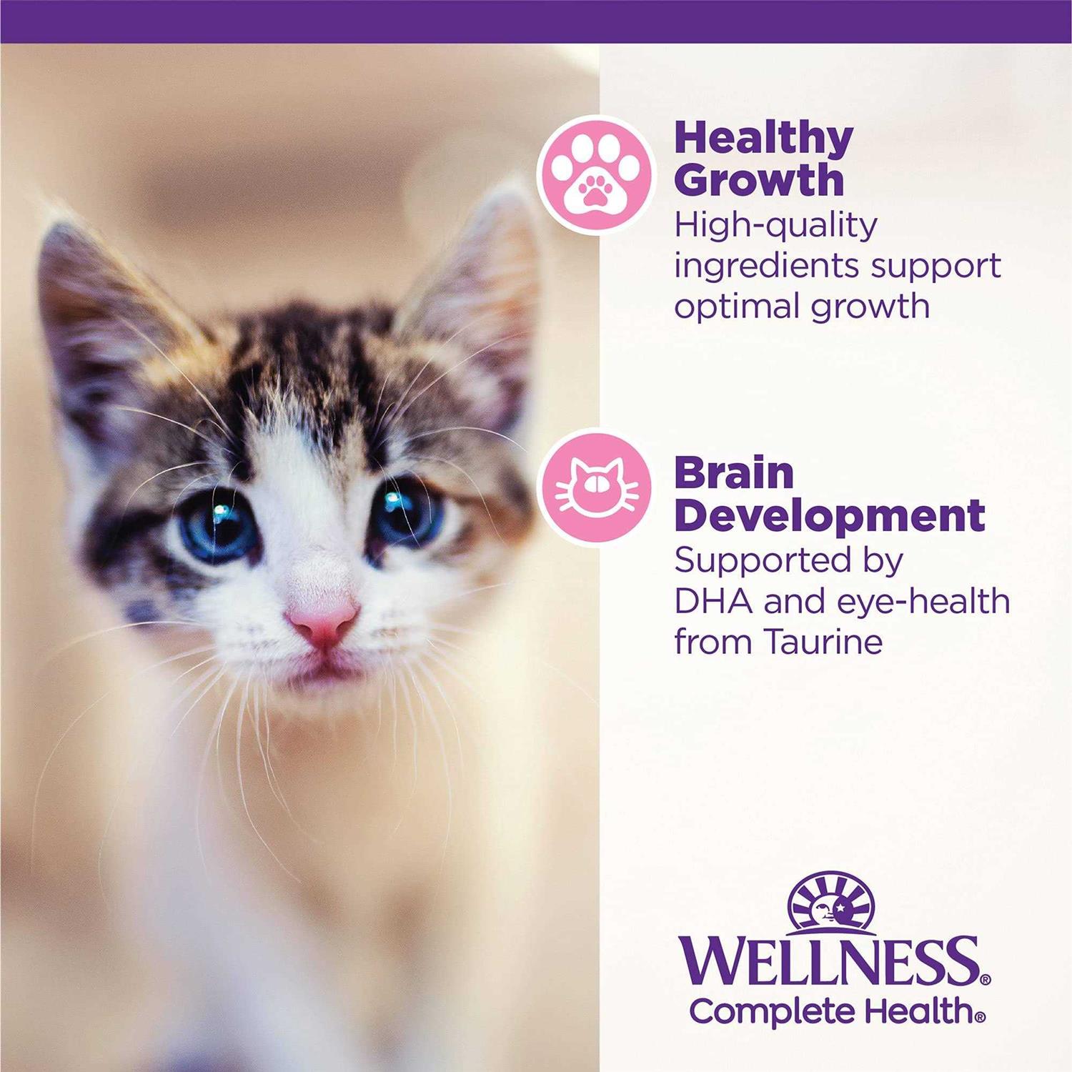Wellness Complete Health Kitten Whitefish &amp; Tuna Wet Cat Food - Pet Supplies online store