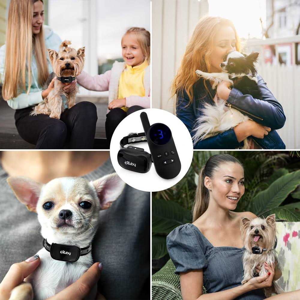 Exuby Tiny Shock Collar for Small Dogs 5-15lbs Smallest Collar on The Market - Pet Supplies online store