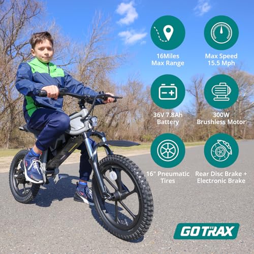 Gotrax Astra Electric Dirt Bike, 16" Pneumatic Tires, Max 16 Mile and 15.5Mph Speed Power by 300W Brushless Motor, Dual Suspension & Disc Brake, Electric Dirt Motorcycle for 8+ Years Old, Black