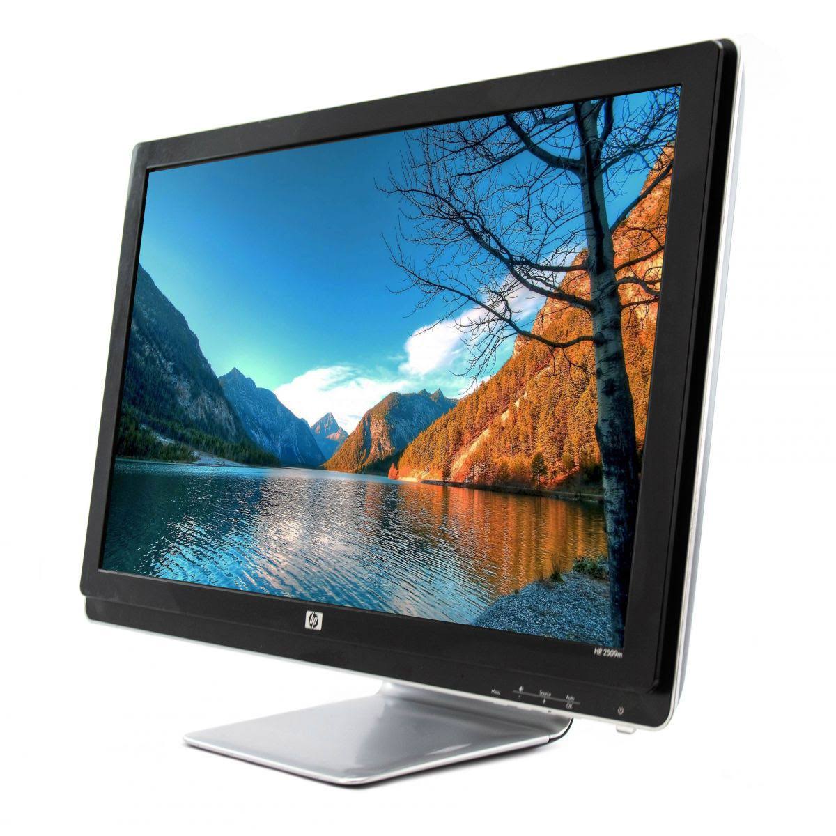 HP 2509m 25x22 Widescreen LCD Monitor - Grade B