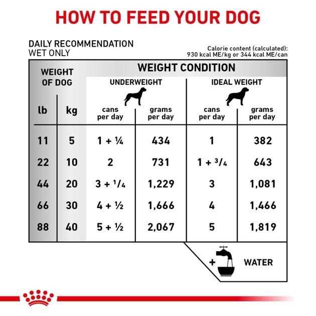 Royal Canin Veterinary Diet Adult Renal Support D Thin Slices in Gravy Canned Dog Food - Pet Supplies online store