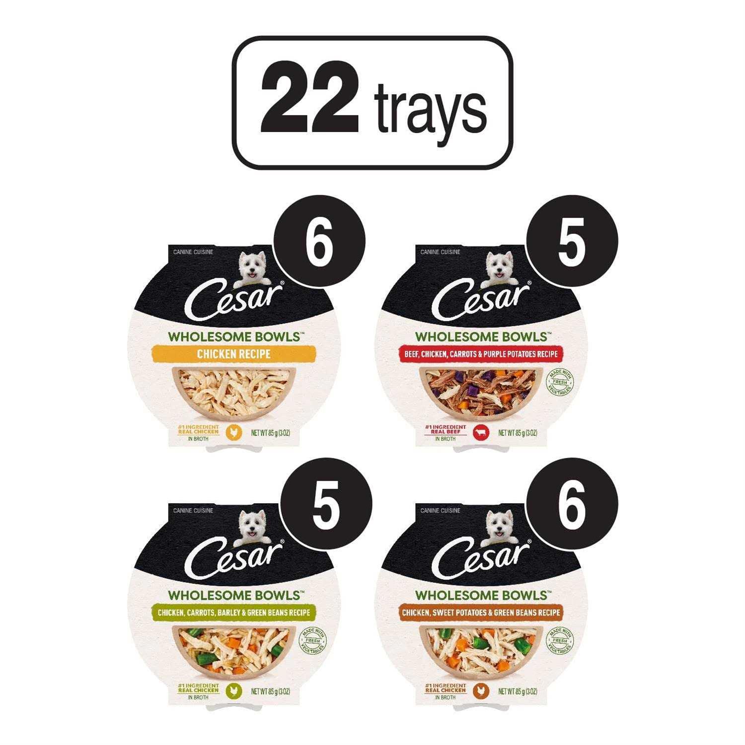 Cesar Wholesome Bowls Wet Dog Food - Pet Supplies online store