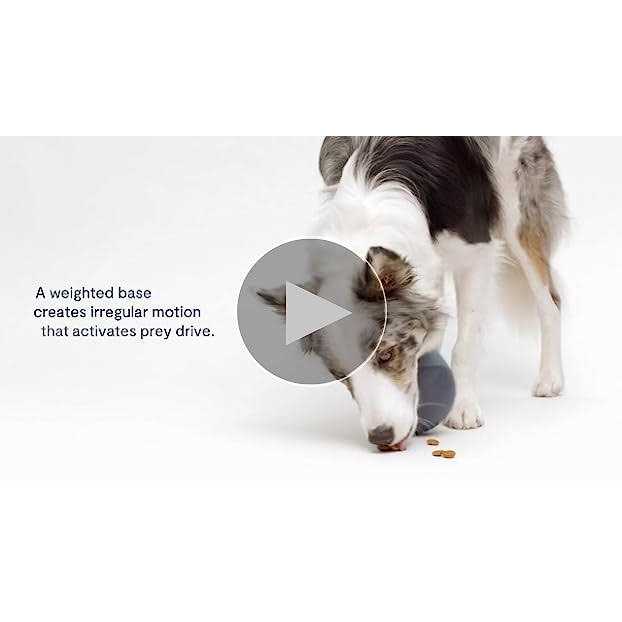 Fable Pets The Game Dog Toy - Pet Supplies online store