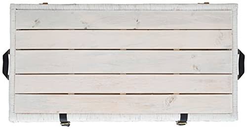 Safavieh Kestin Rattan Storage Trunk - White/Brown