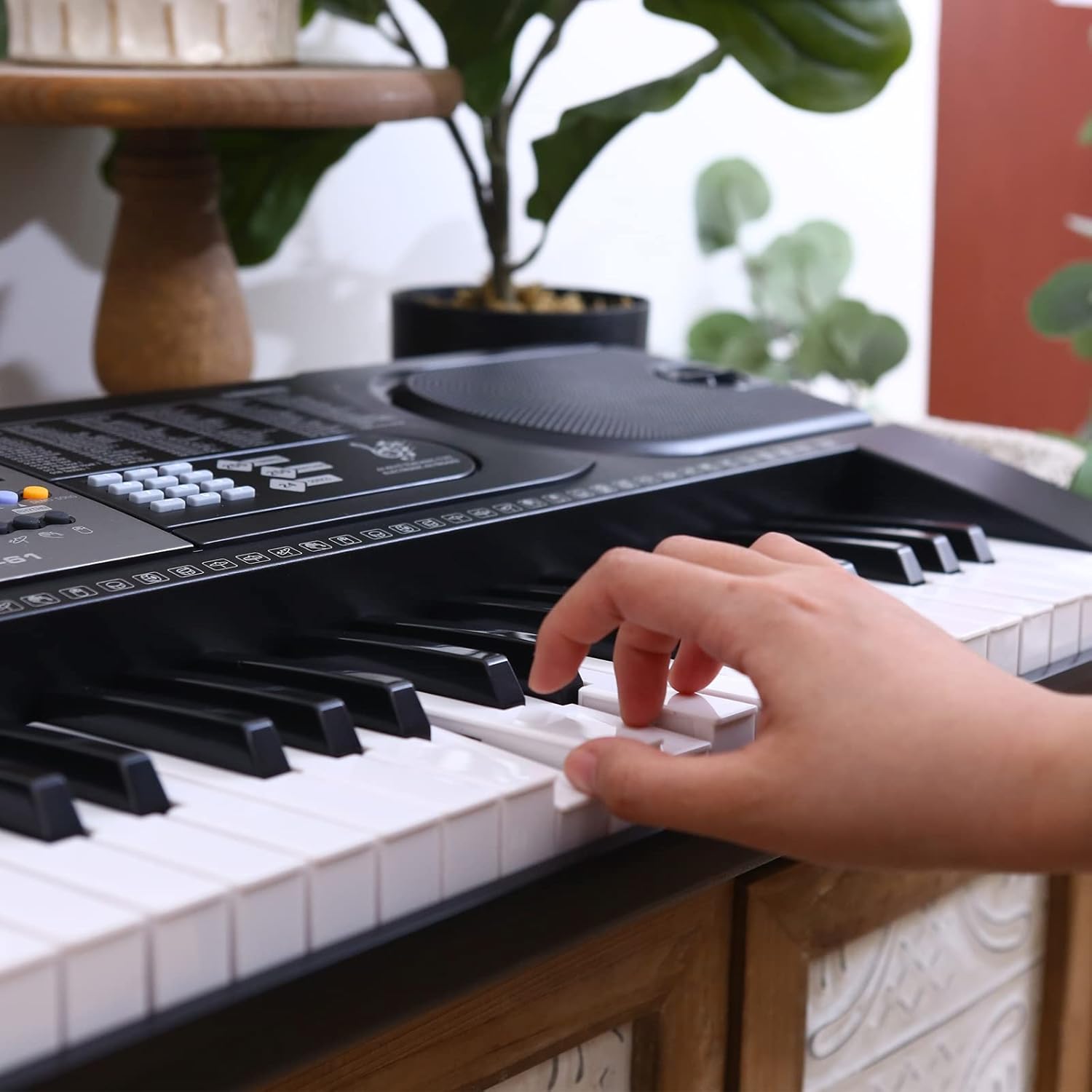 AODSK 61 Key Keyboard Piano With LCD Display Kit for Beginner Professional,with 255 Sounds,Microphone,3.5mm Audio Cable and 24 Demo Songs