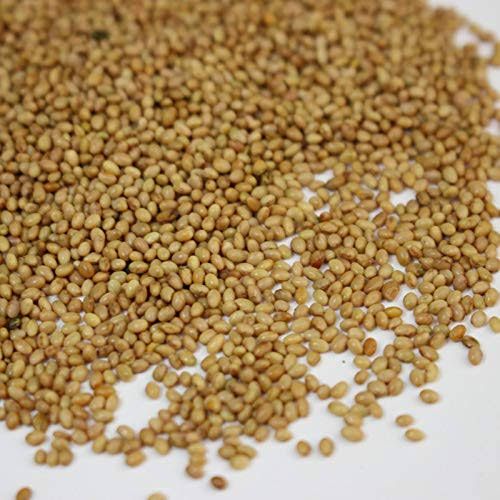 Crimson Clover Seeds - 25 lb Bulk - Farm u0026 Garden Cover Crop, Non-GMO, Open Pollinated, Perennial, Heirloom - Clay Coated, S