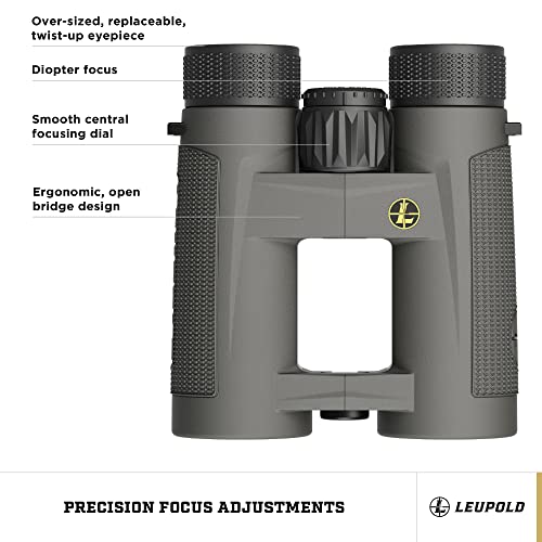 Leupold BX-4 Pro Guide HD Binoculars