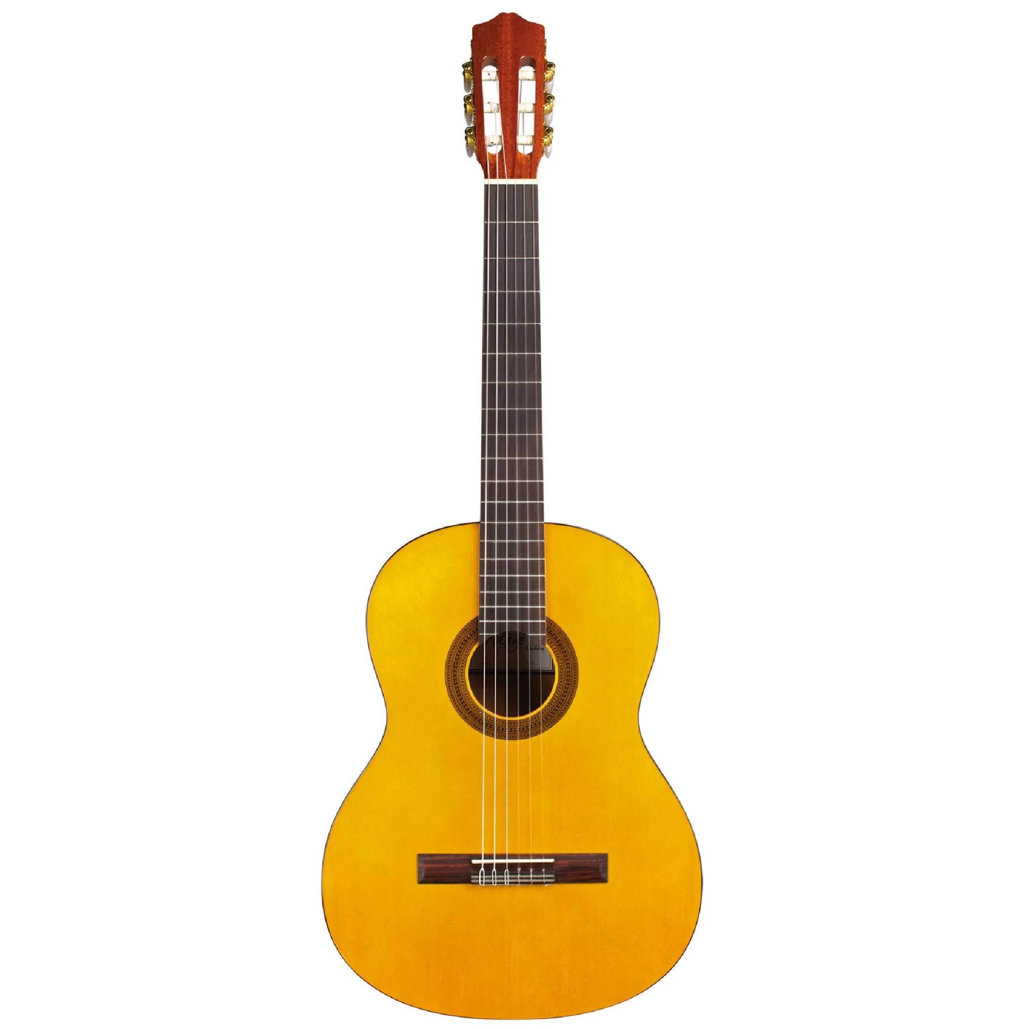 Protege by Cordoba C1 Acoustic Nylon String Classical Guitar - Megean