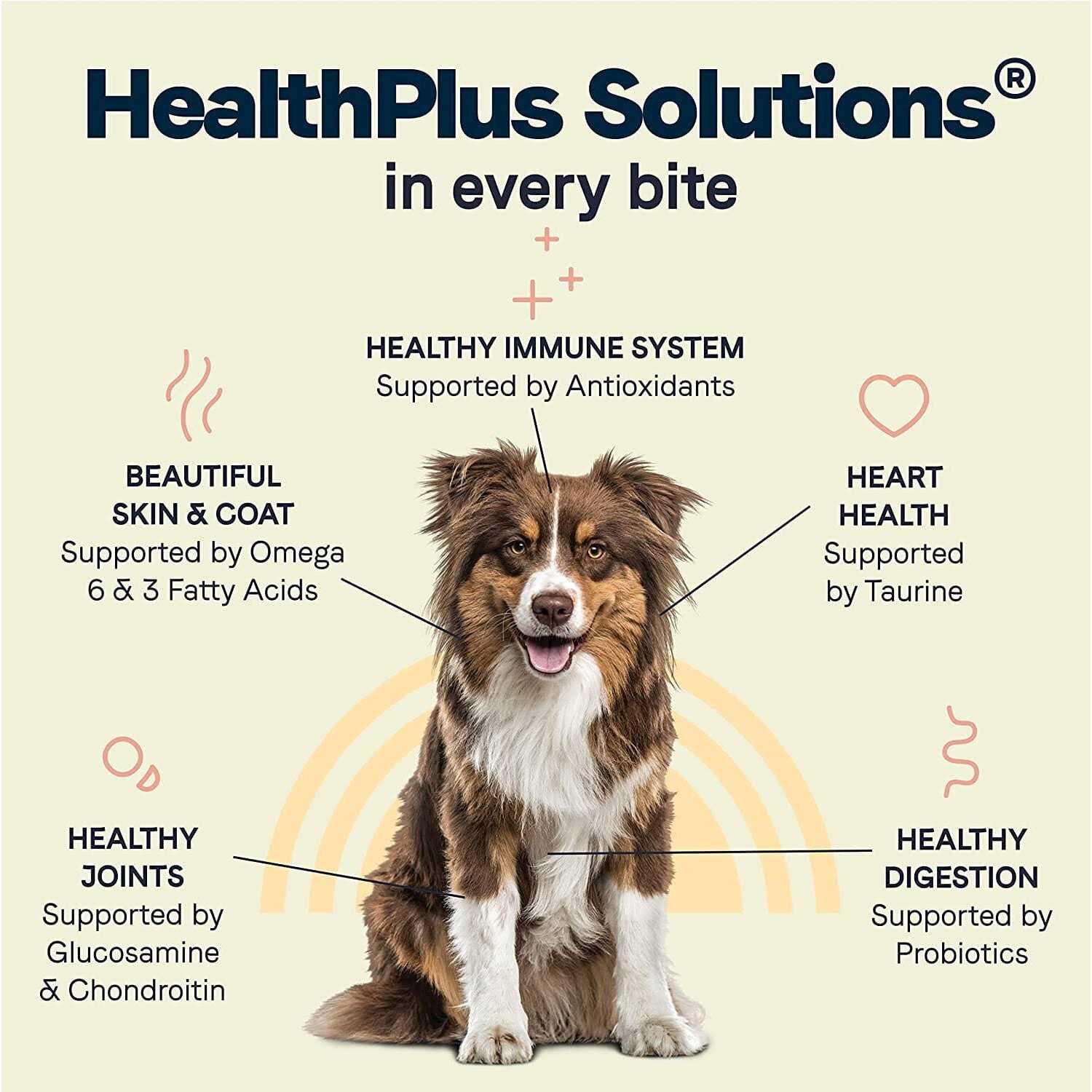 Canidae All Life Stages Dry Dog Food Lamb Meal &amp; Rice - Pet Supplies online store