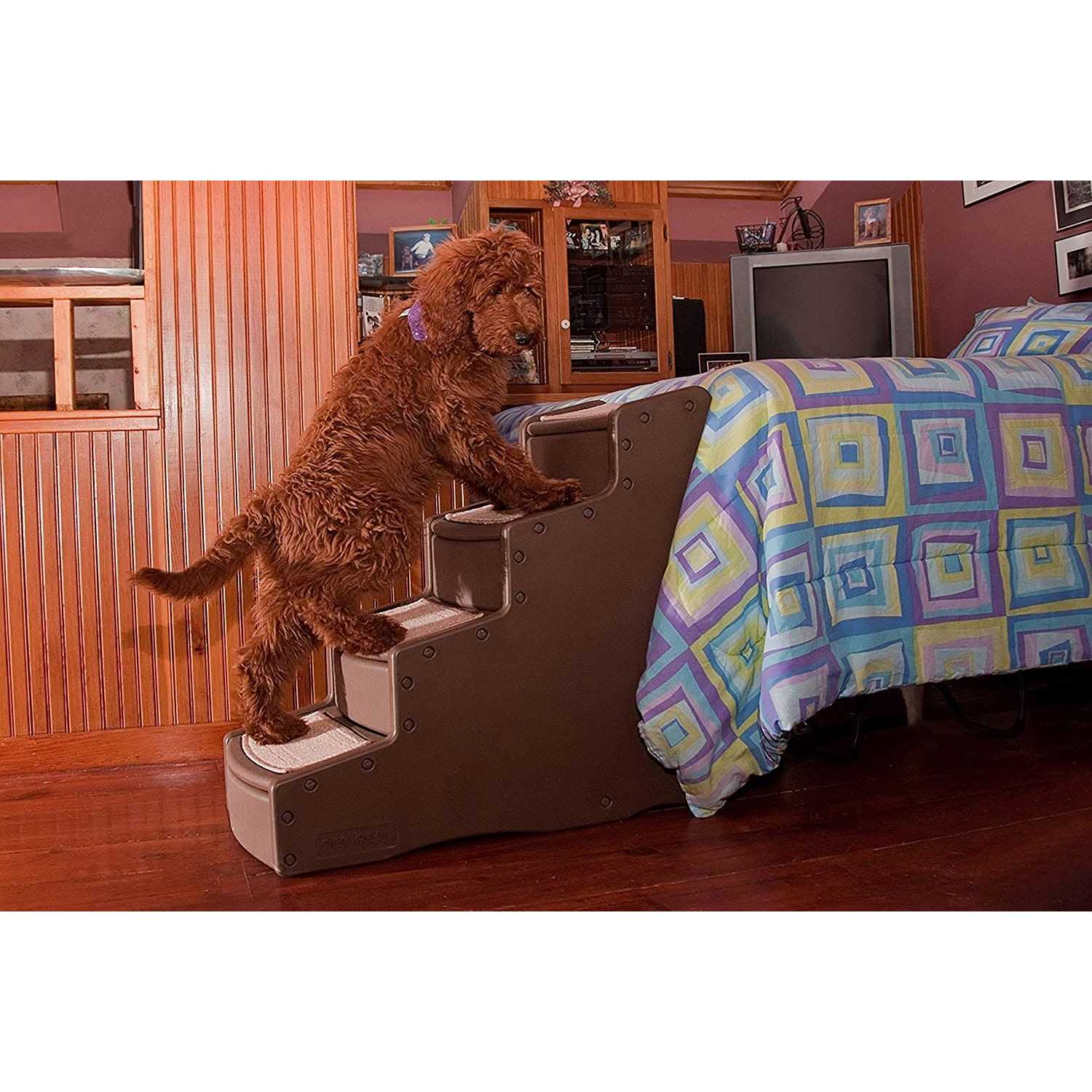 Pet Gear Easy Step IV - Pet Supplies online store