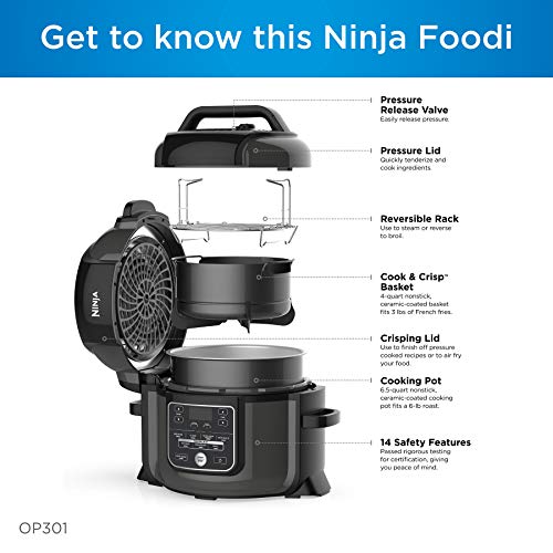 Ninja FD401 Foodi 8-qt. 9-in-1 Deluxe XL Cooker & Air Fryer-Stainless Steel Pressure Cooker