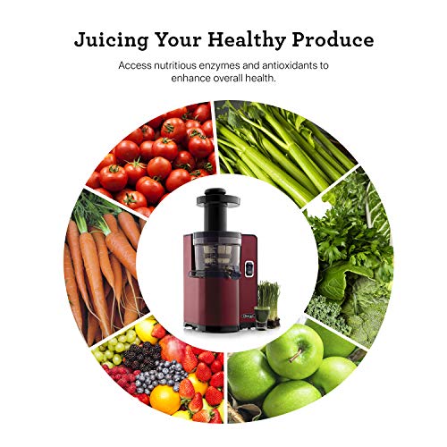 Omega Vertical Slow Masticating Juicer