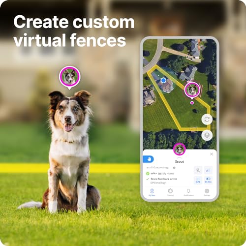 Halo Collar 3 - GPS Dog Fence - Multifunction Wireless Dog Fence & Training Collar with Real-Time Tracking & GPS - Waterproof, Create Up to 20 Wireless Fences