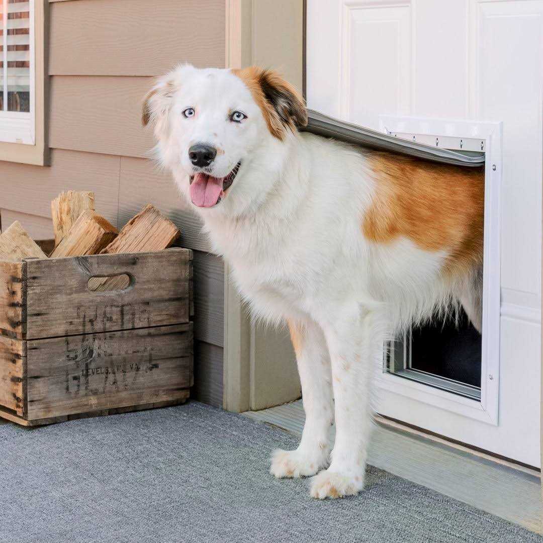 Extreme Weather Aluminum Pet Door PetSafe - Pet Supplies online store
