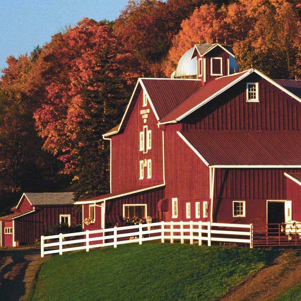 BEHR 5 gal. Red Exterior Barn and Fence Paint - Shop Hardware Tools Online Store
