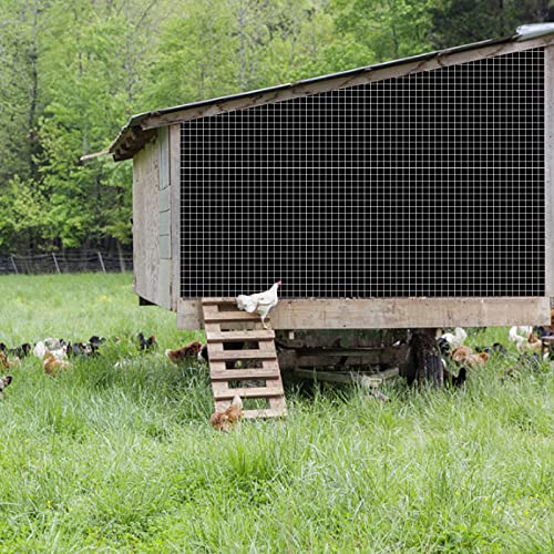 Hardware Cloth 1/4inch 36inx100ft Galvanized After Welding Square Metal Mesh Wire Mesh Fencing Wire Diameter 0.8mm Wire Chicken Coop for Vegetables Garden Animal Enclosure