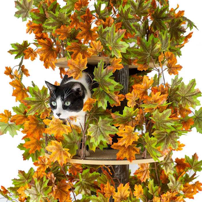 On2Pets Summer Square Cat Tree - Pet Supplies online store
